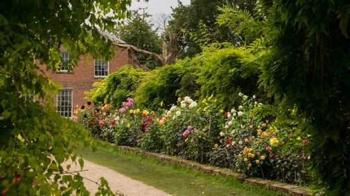 The dahlia border in the garden at Calke Abbey, Derbyshire